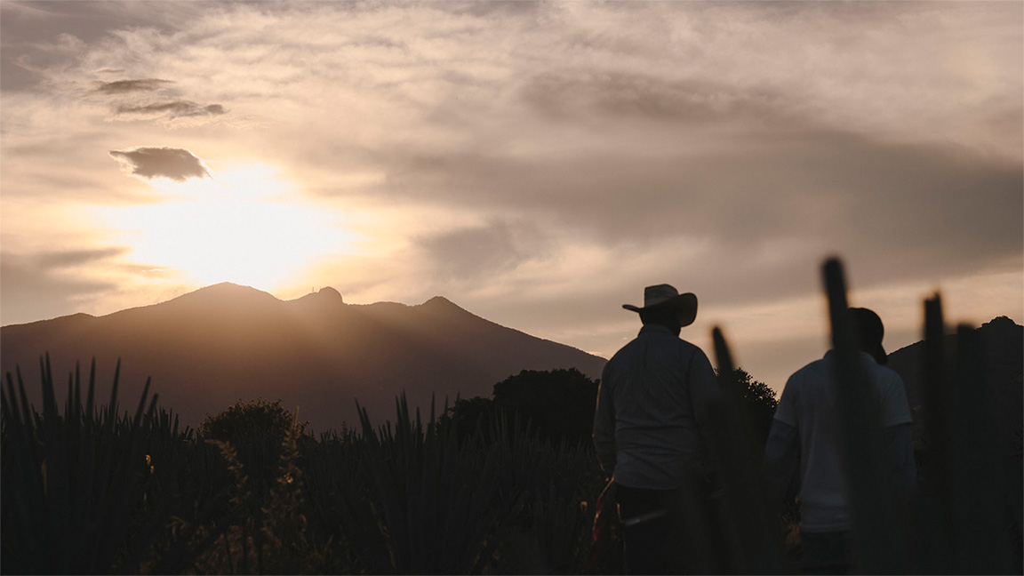 volcan8
